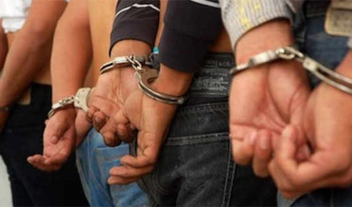 अवैध काठसहित १२ जना प्रहरी नियन्त्रणमा